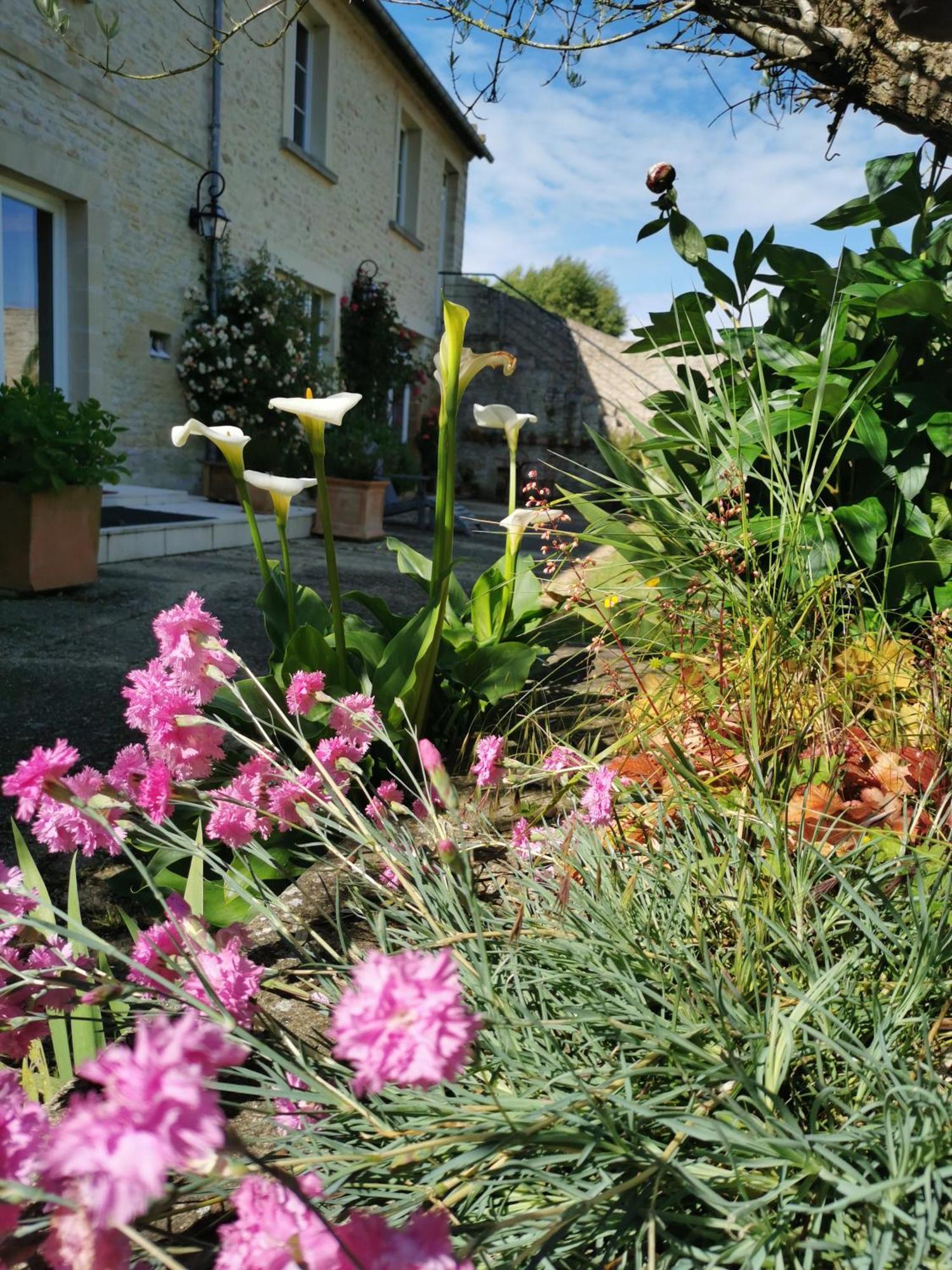 Chambre De L'Iris Sainte-Croix-sur-Mer Eksteriør bilde