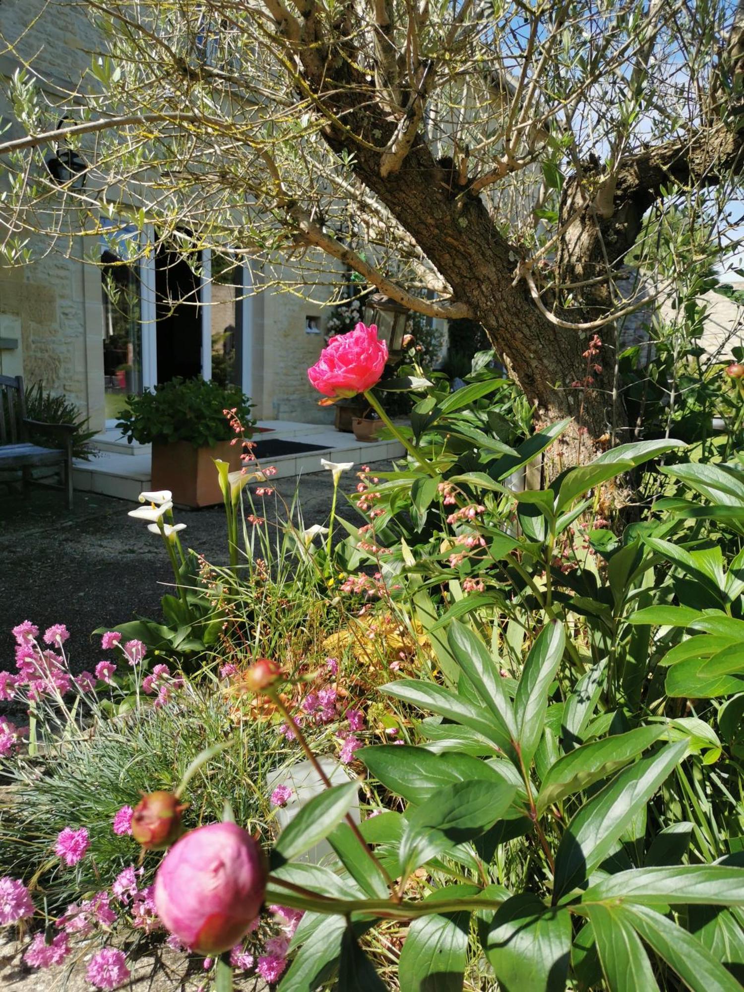 Chambre De L'Iris Sainte-Croix-sur-Mer Eksteriør bilde